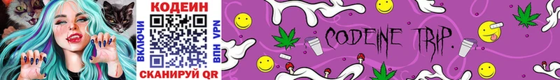 Купить закладки Павловск Codein Purple Drank