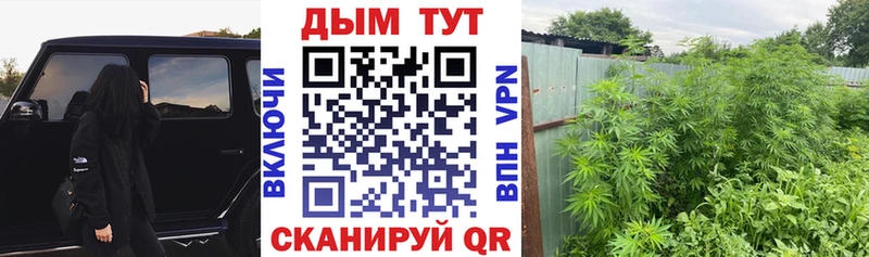 Шишки марихуана THC 21%  Купить где  Павловск 